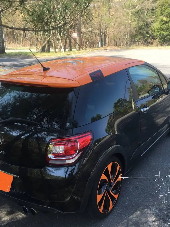 DS3