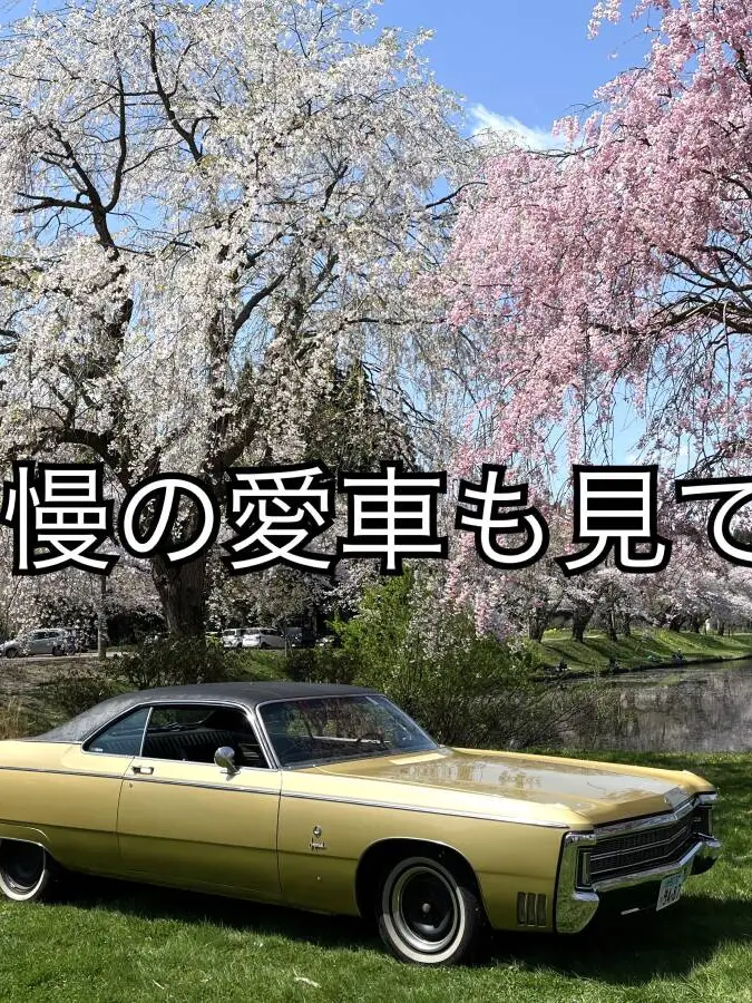 ステージア