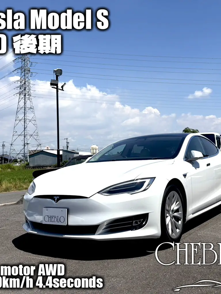 モデルS