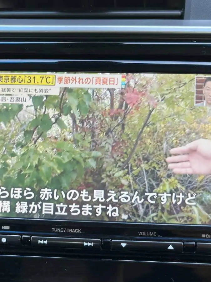 フィットハイブリッド