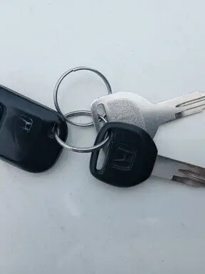 バモス