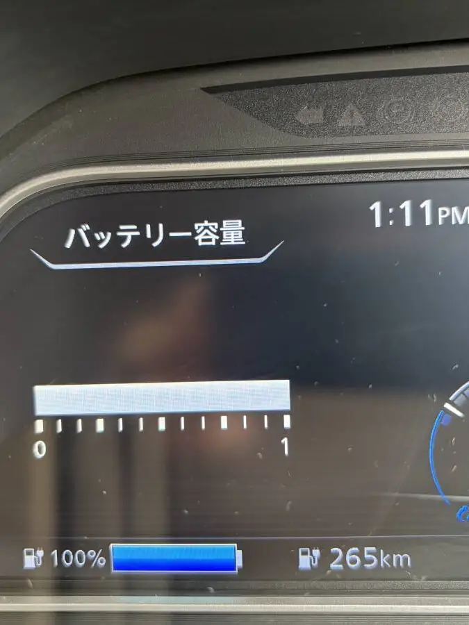 リーフ
