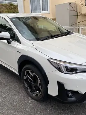 XV