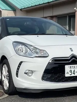 DS3