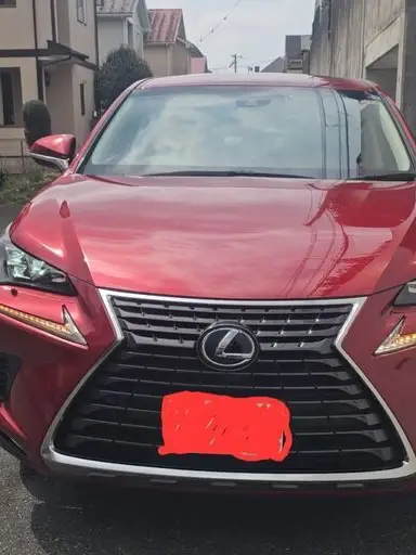 NX