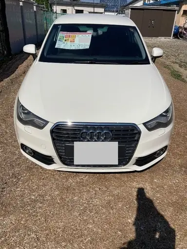 A1