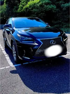 NX