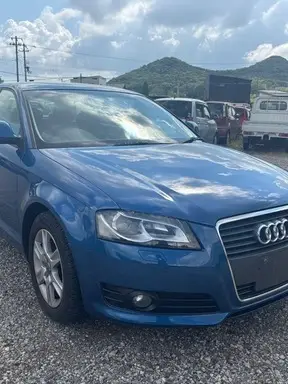 A3