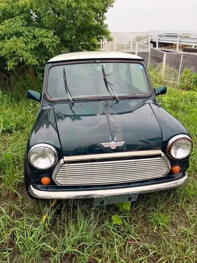 ローバーミニ