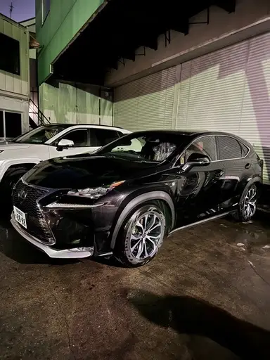 NX
