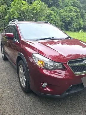 XV