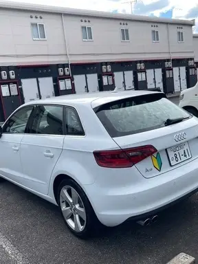 A3
