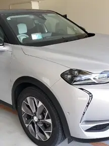 DS3