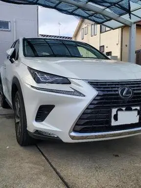 NX