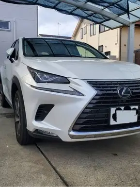 NX