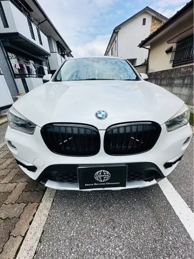 X1
