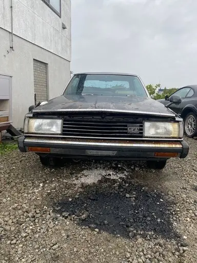 スカイライン