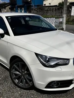 A1