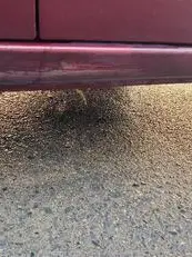 ステラ