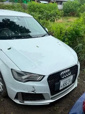A3