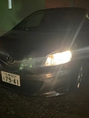 ヴィッツ