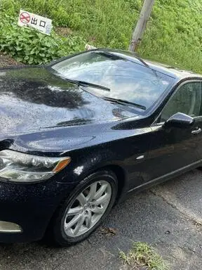 LS