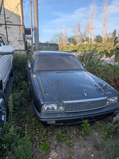 シーマ