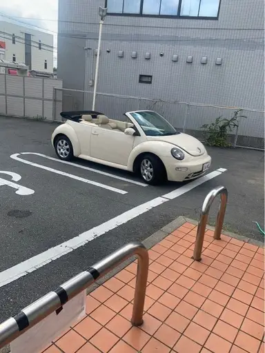 ビートル