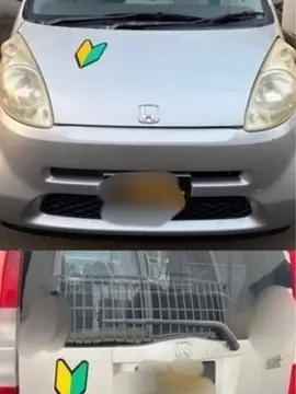 ライフ