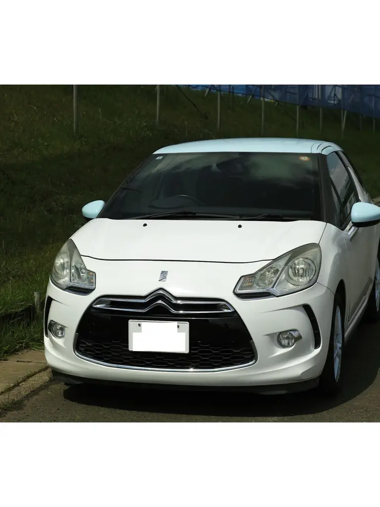 DS3