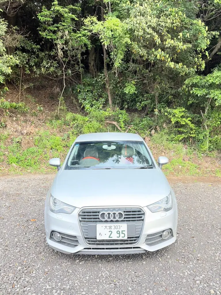 A1
