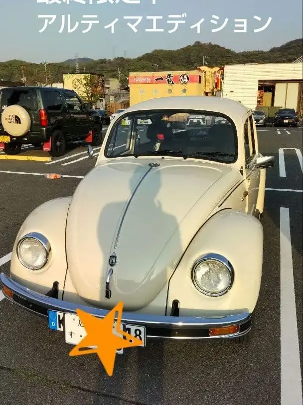 ビートル