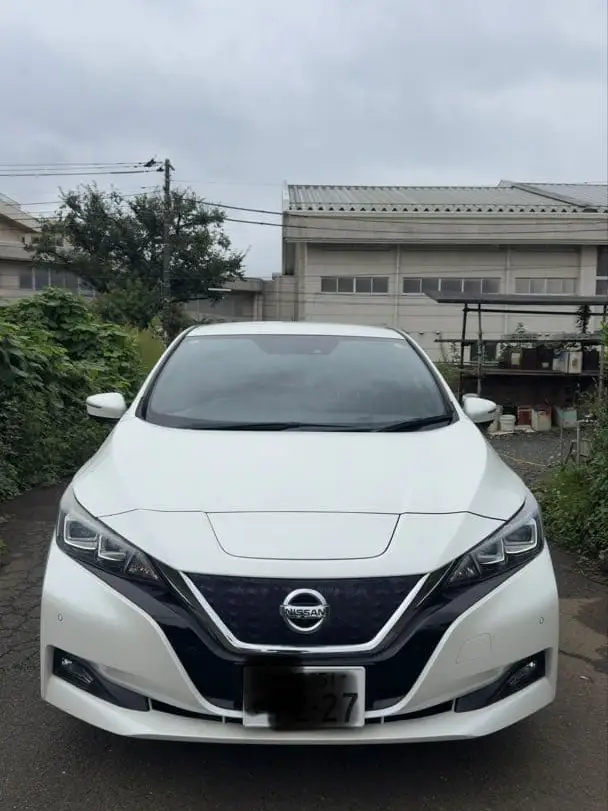 リーフ