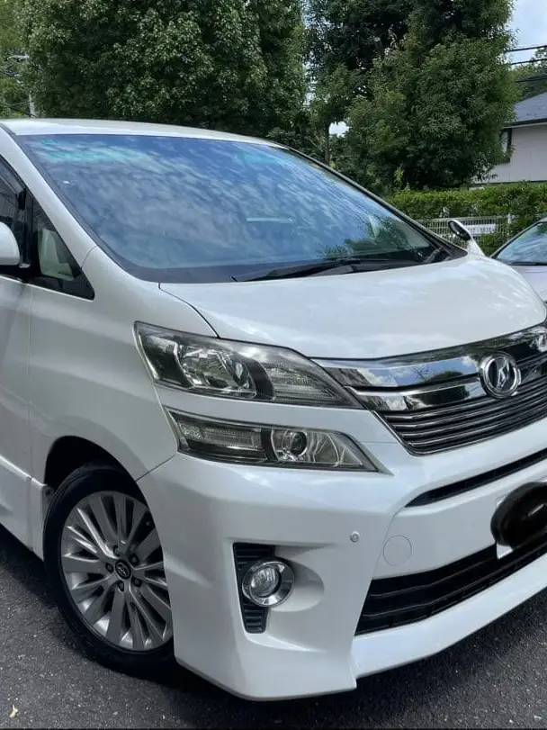クルーズ