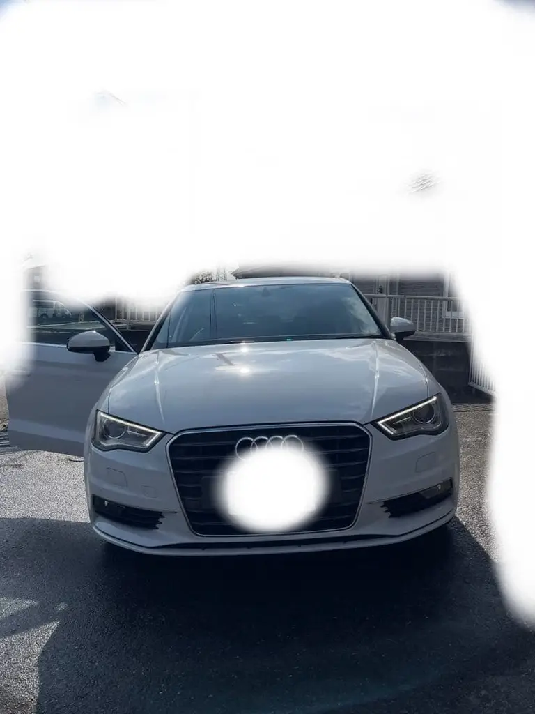 A3