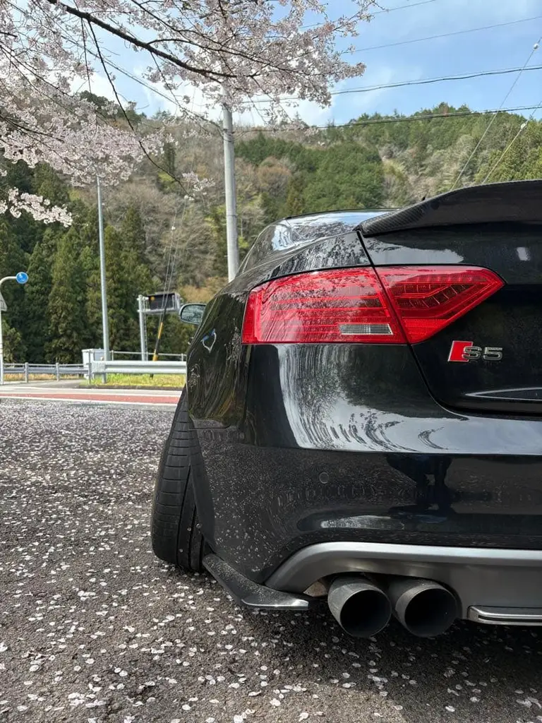 S5