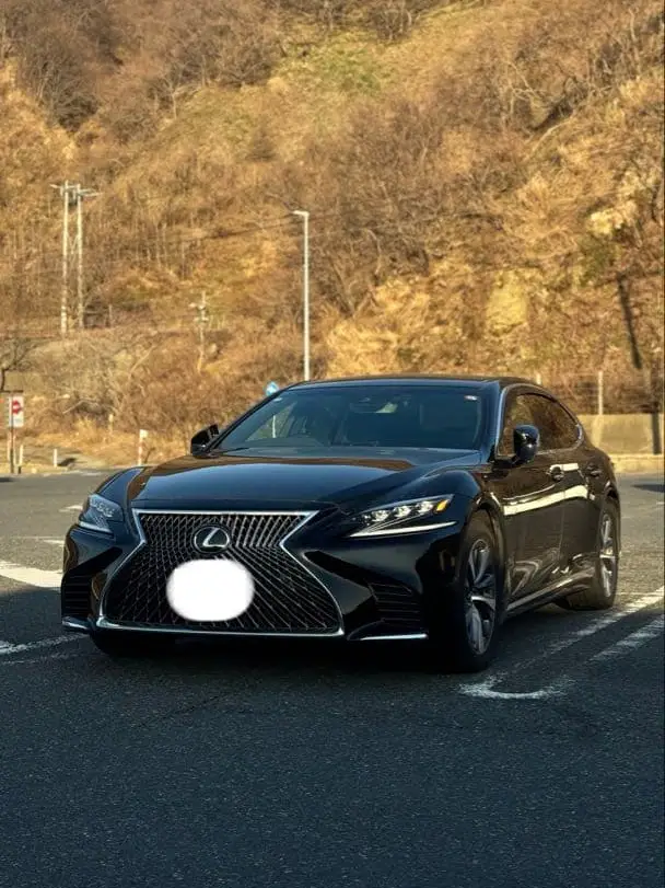 LS